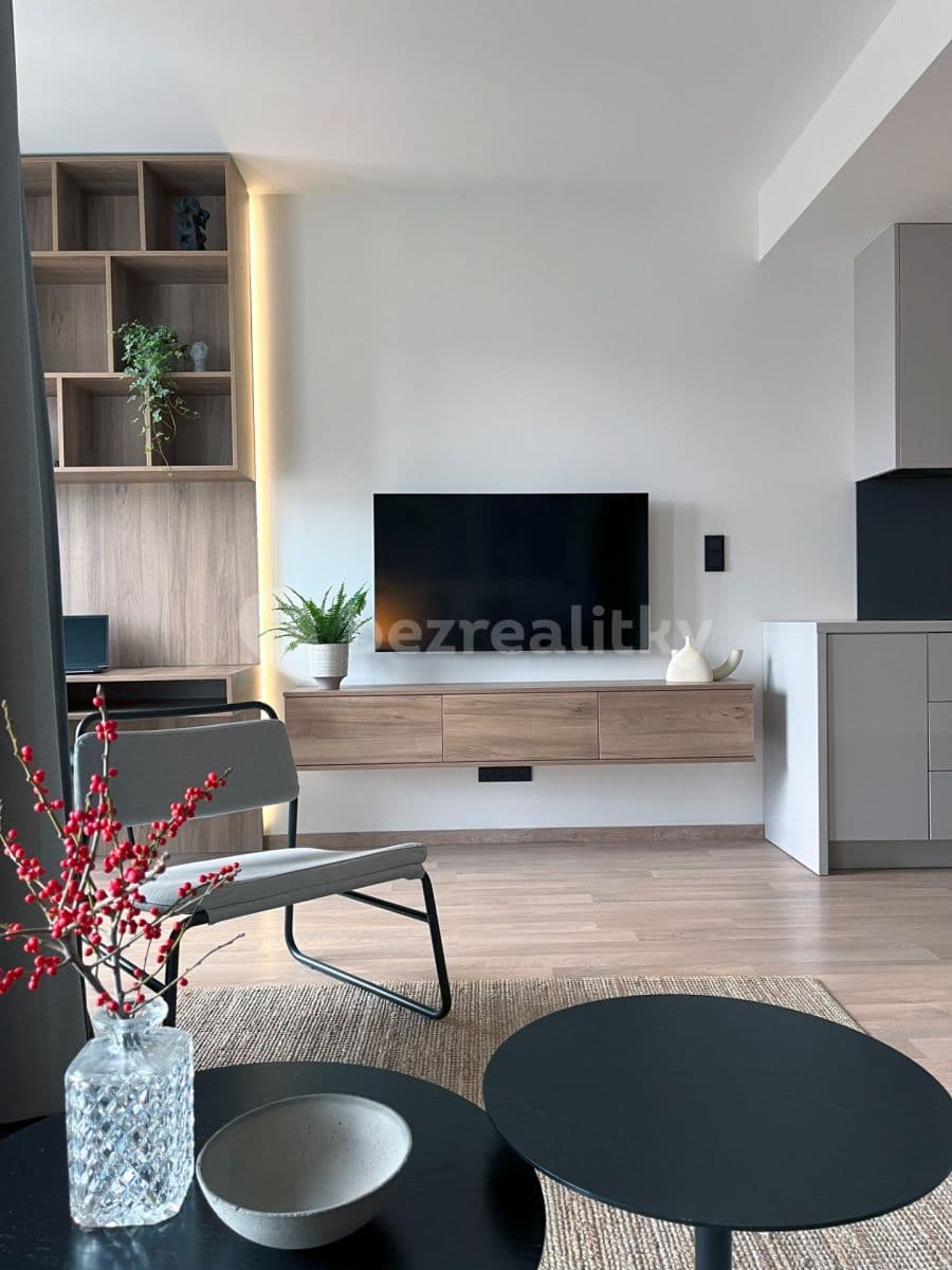 1 bedroom with open-plan kitchen flat to rent, 38 m², Olgy Havlové, Prague, Prague 1 bedroom with open-plan kitchen flat to rent, 38 m², Olgy Havlové, Prague, Prague
