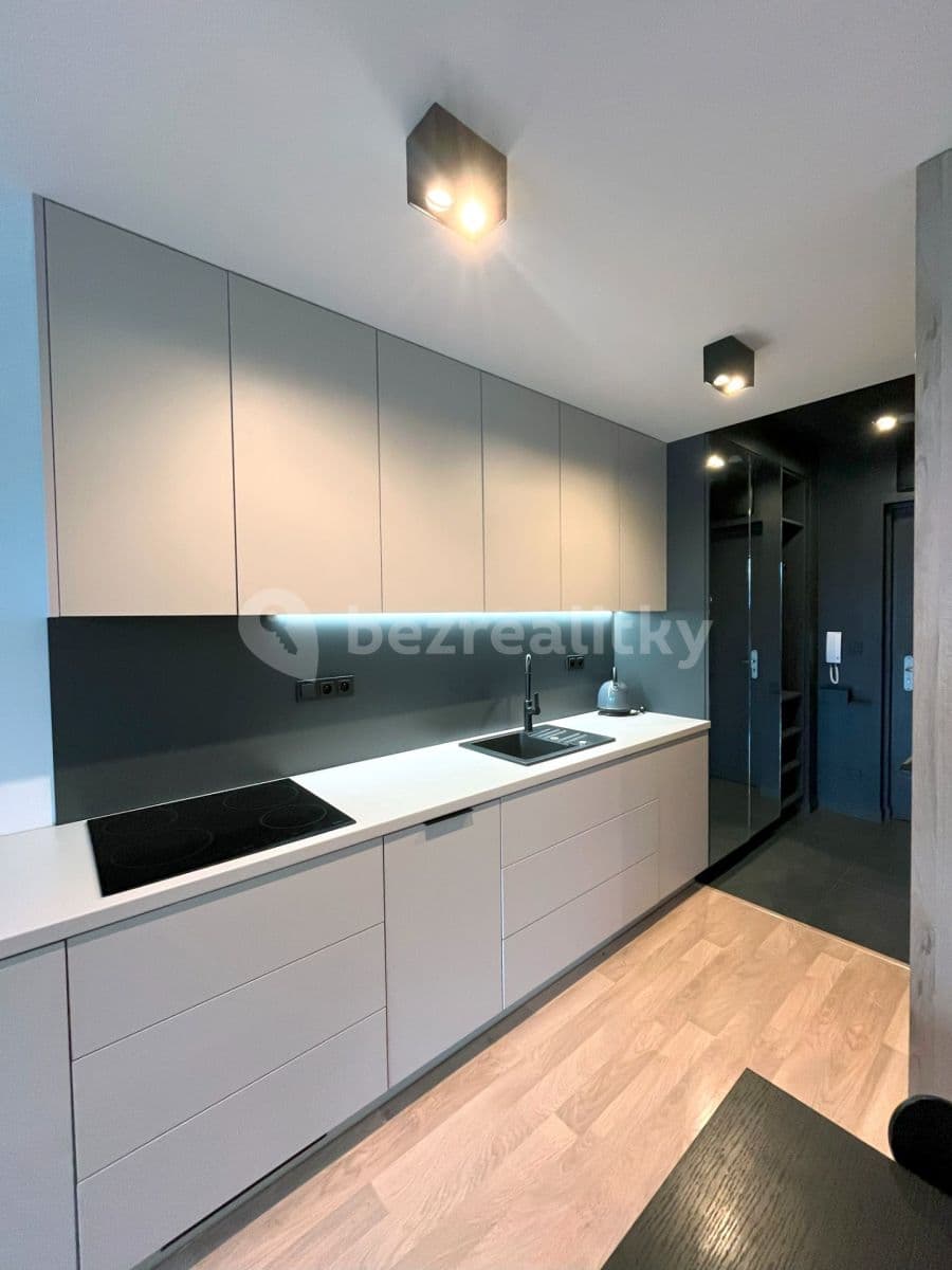 1 bedroom with open-plan kitchen flat to rent, 38 m², Olgy Havlové, Prague, Prague 1 bedroom with open-plan kitchen flat to rent, 38 m², Olgy Havlové, Prague, Prague
