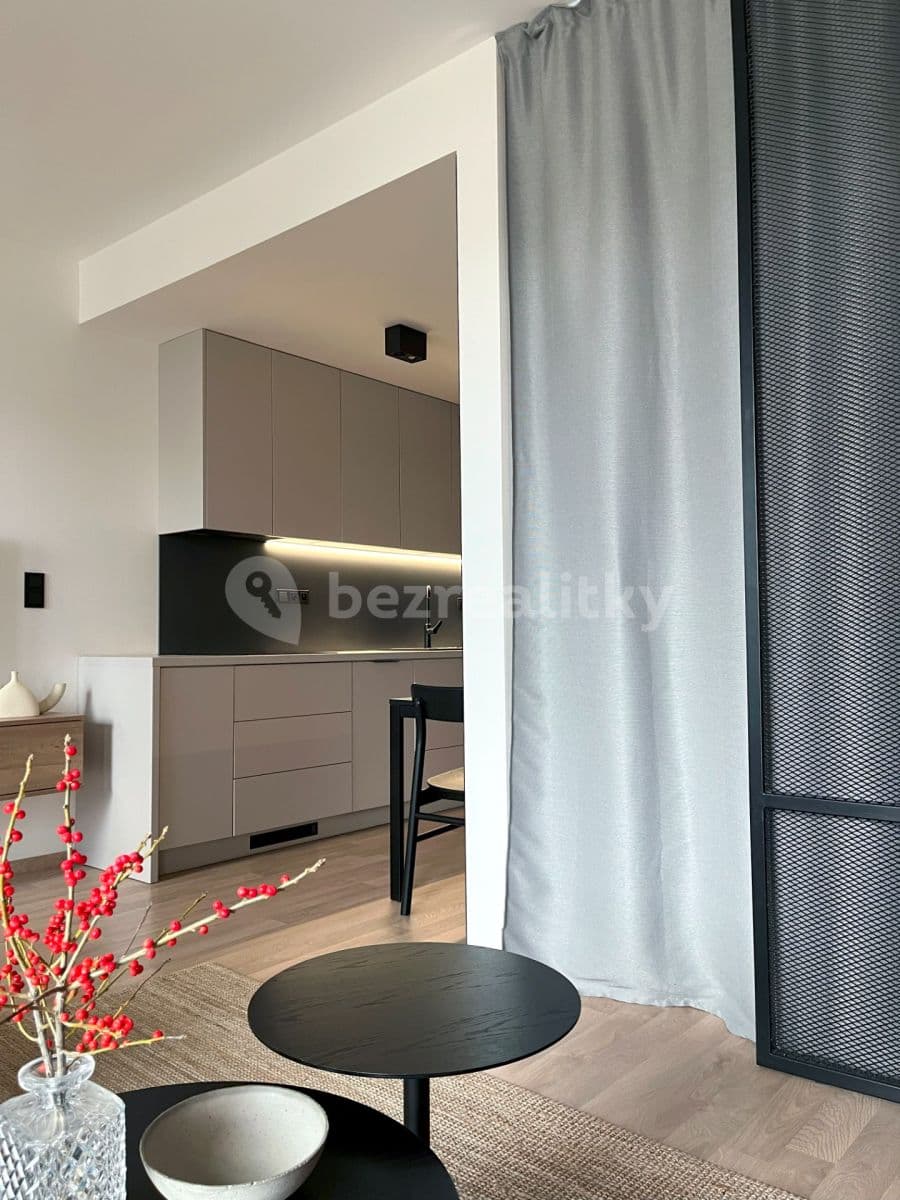 1 bedroom with open-plan kitchen flat to rent, 38 m², Olgy Havlové, Prague, Prague 1 bedroom with open-plan kitchen flat to rent, 38 m², Olgy Havlové, Prague, Prague