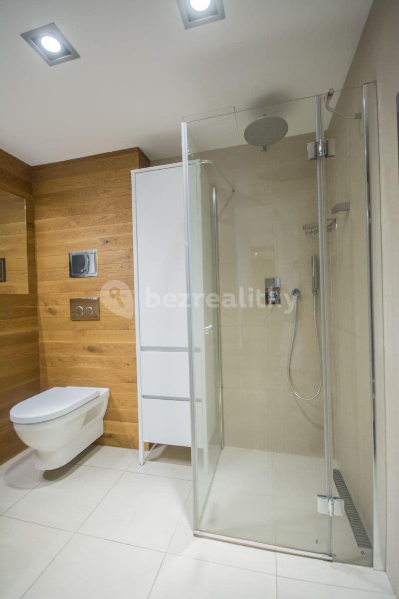 1 bedroom with open-plan kitchen flat to rent, 60 m², U Studánky, Prague, Prague 1 bedroom with open-plan kitchen flat to rent, 60 m², U Studánky, Prague, Prague