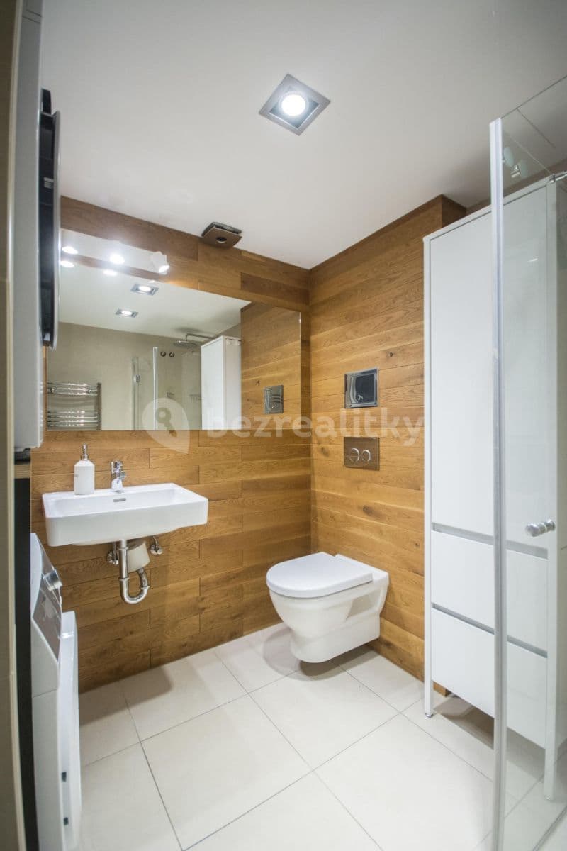 1 bedroom with open-plan kitchen flat to rent, 60 m², U Studánky, Prague, Prague 1 bedroom with open-plan kitchen flat to rent, 60 m², U Studánky, Prague, Prague