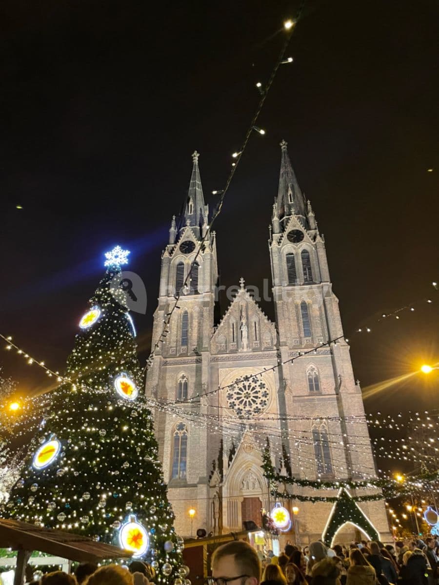 1 bedroom with open-plan kitchen flat to rent, 56 m², Chodská, Prague, Prague 1 bedroom with open-plan kitchen flat to rent, 56 m², Chodská, Prague, Prague