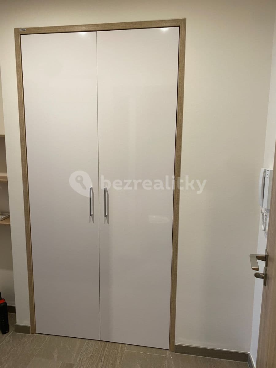 1 bedroom with open-plan kitchen flat to rent, 44 m², U Krčské vodárny, Prague, Prague 1 bedroom with open-plan kitchen flat to rent, 44 m², U Krčské vodárny, Prague, Prague