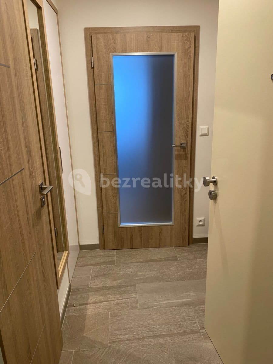 1 bedroom with open-plan kitchen flat to rent, 44 m², U Krčské vodárny, Prague, Prague 1 bedroom with open-plan kitchen flat to rent, 44 m², U Krčské vodárny, Prague, Prague