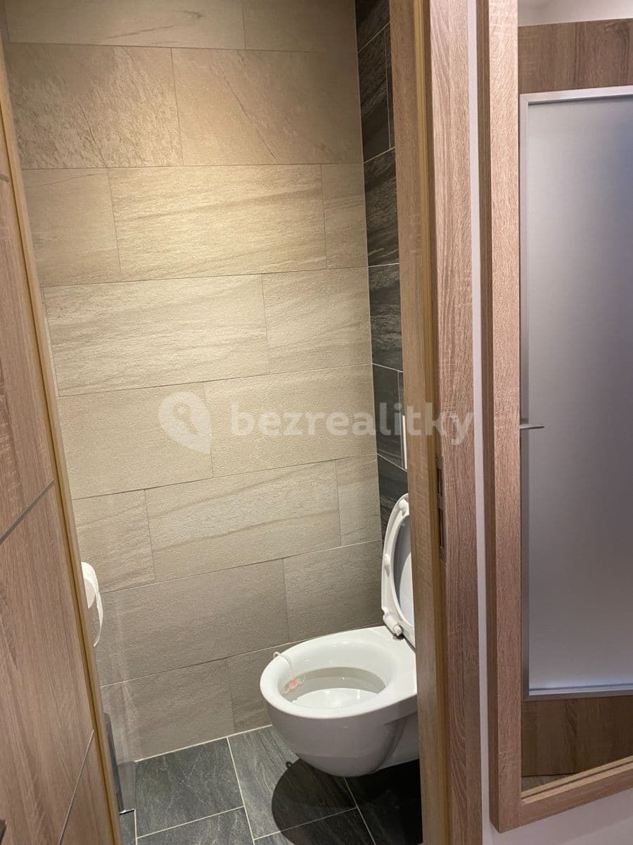 1 bedroom with open-plan kitchen flat to rent, 44 m², U Krčské vodárny, Prague, Prague 1 bedroom with open-plan kitchen flat to rent, 44 m², U Krčské vodárny, Prague, Prague