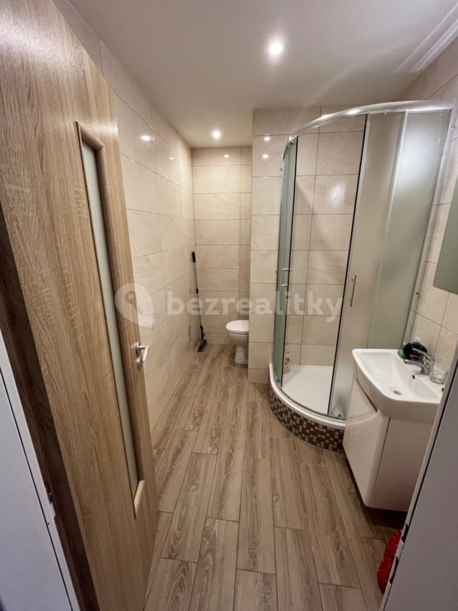 1 bedroom with open-plan kitchen flat to rent, 42 m², Teplice, Ústecký Region 1 bedroom with open-plan kitchen flat to rent, 42 m², Teplice, Ústecký Region