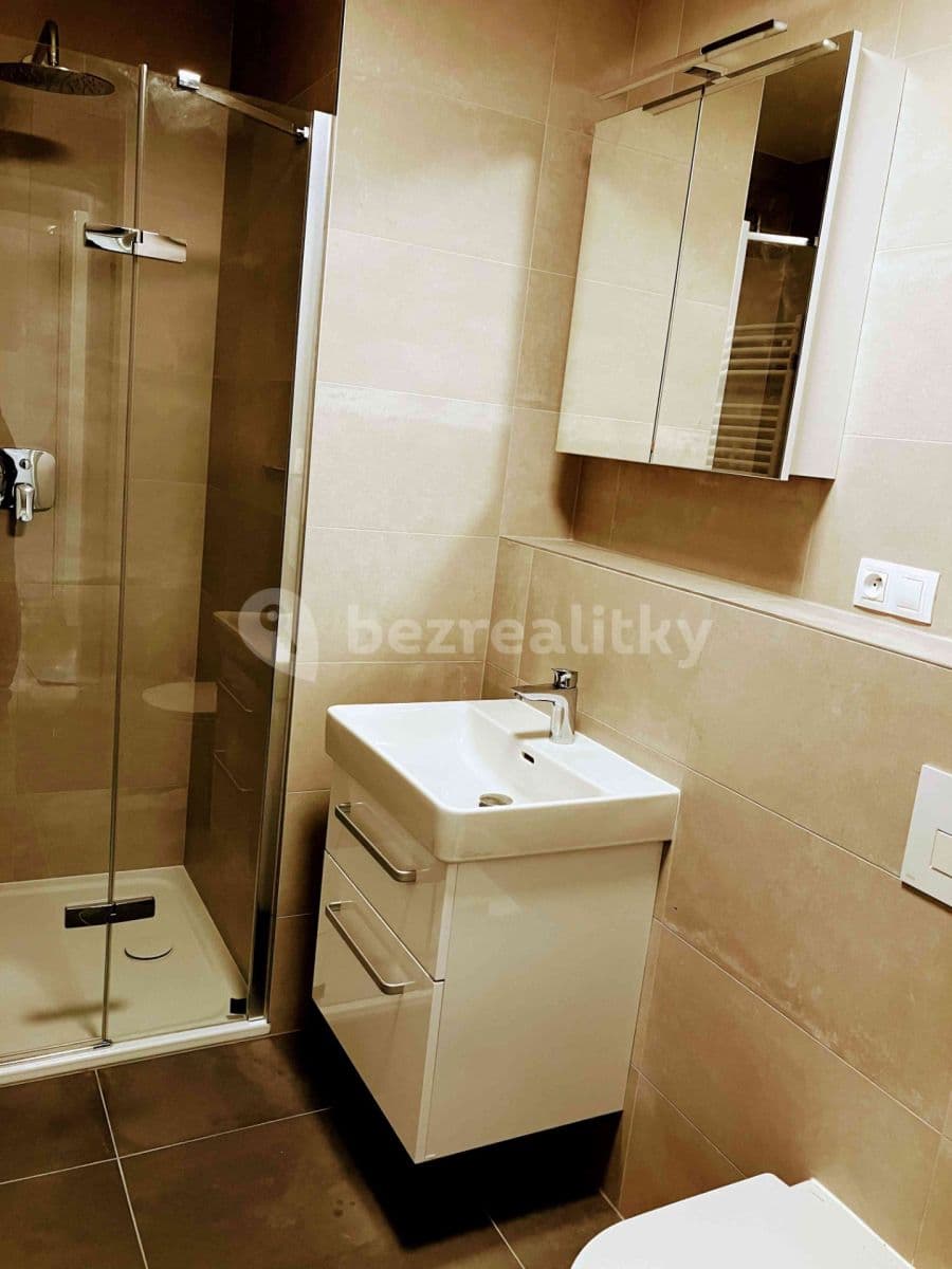 Studio flat to rent, 35 m², Jankovcova, Prague, Prague Studio flat to rent, 35 m², Jankovcova, Prague, Prague