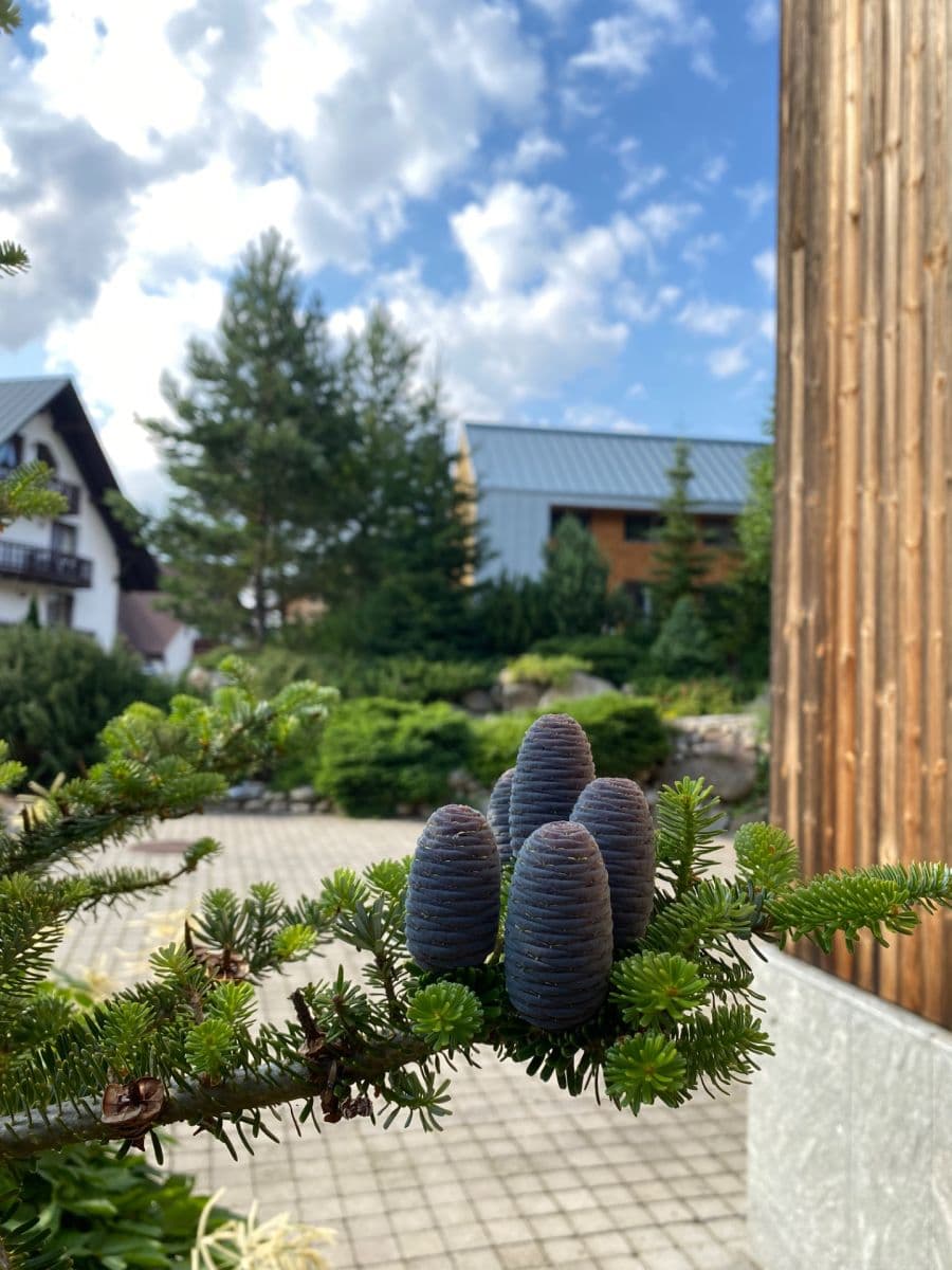 3 bedroom with open-plan kitchen flat for sale, 140 m², Harrachov, Liberecký Region 3 bedroom with open-plan kitchen flat for sale, 140 m², Harrachov, Liberecký Region