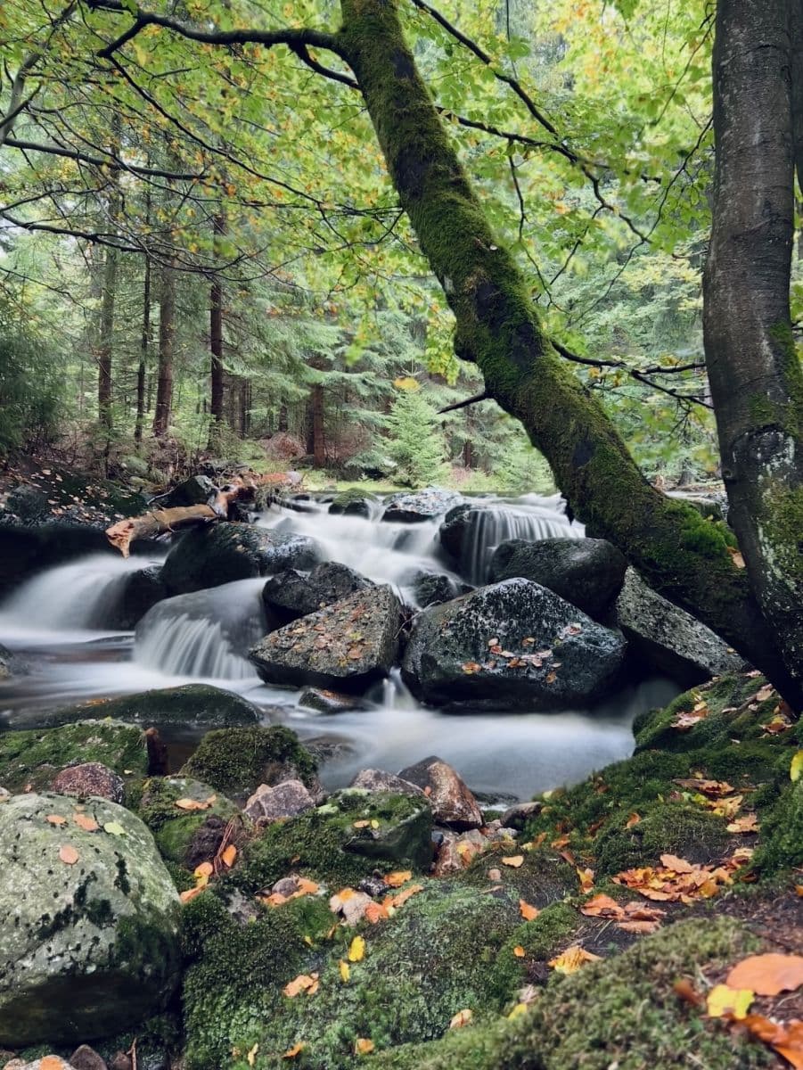 3 bedroom with open-plan kitchen flat for sale, 140 m², Harrachov, Liberecký Region 3 bedroom with open-plan kitchen flat for sale, 140 m², Harrachov, Liberecký Region