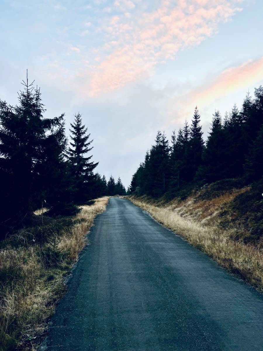 3 bedroom with open-plan kitchen flat for sale, 140 m², Harrachov, Liberecký Region 3 bedroom with open-plan kitchen flat for sale, 140 m², Harrachov, Liberecký Region