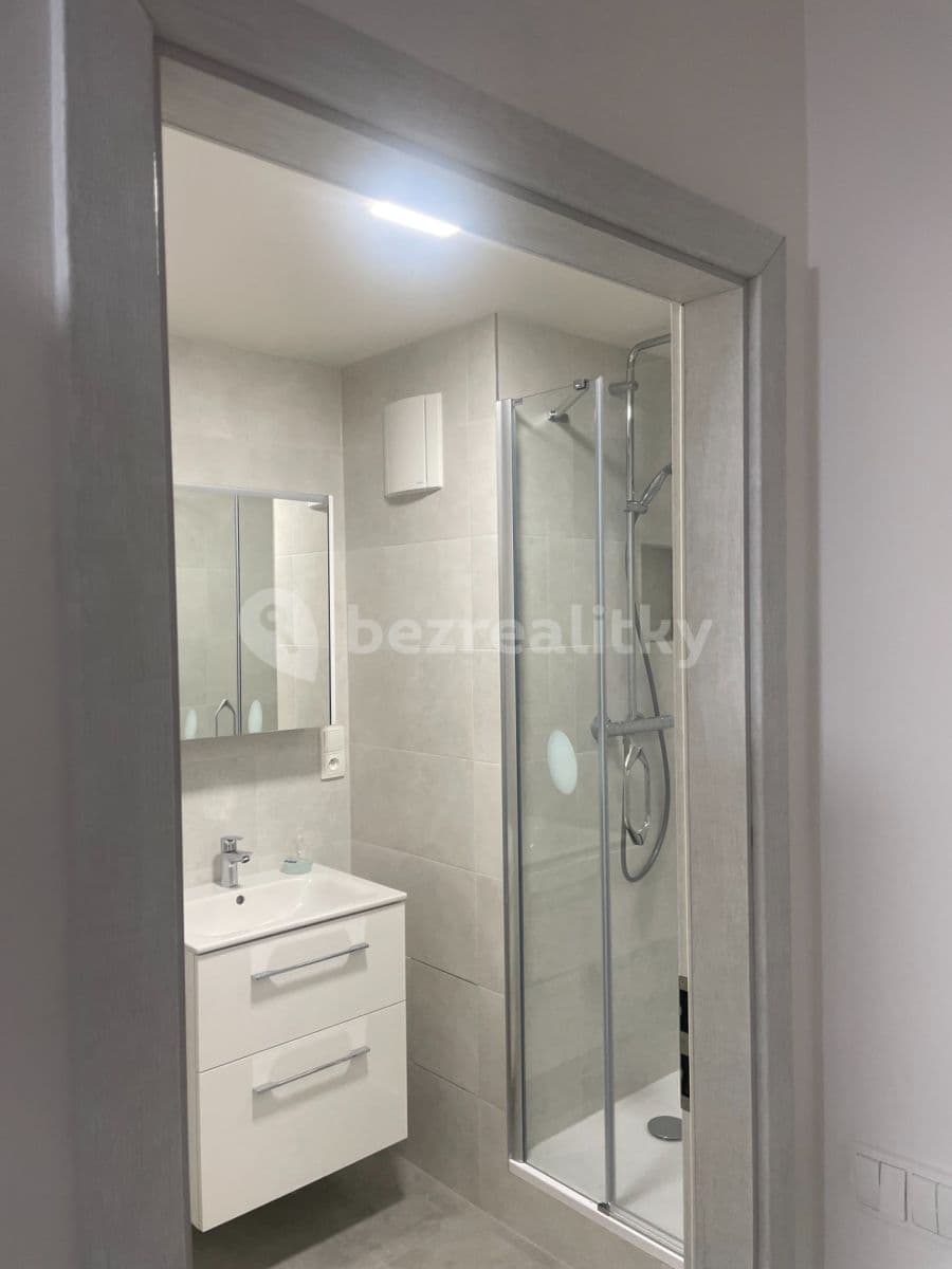 2 bedroom with open-plan kitchen flat to rent, 63 m², Kaplická, Prague, Prague 2 bedroom with open-plan kitchen flat to rent, 63 m², Kaplická, Prague, Prague