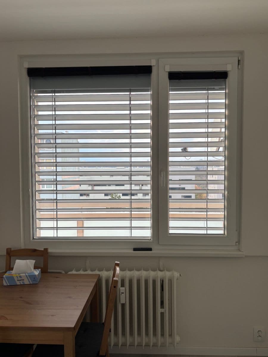 2 bedroom with open-plan kitchen flat to rent, 63 m², Kaplická, Prague, Prague 2 bedroom with open-plan kitchen flat to rent, 63 m², Kaplická, Prague, Prague