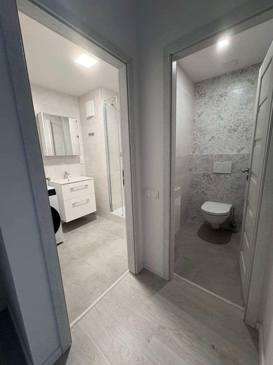 2 bedroom with open-plan kitchen flat to rent, 63 m², Kaplická, Prague, Prague 2 bedroom with open-plan kitchen flat to rent, 63 m², Kaplická, Prague, Prague