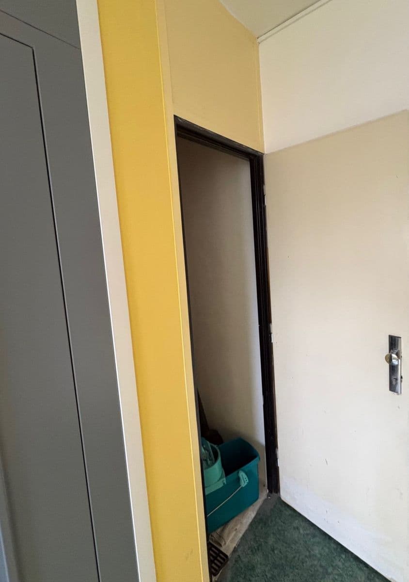 2 bedroom with open-plan kitchen flat to rent, 63 m², Kaplická, Prague, Prague 2 bedroom with open-plan kitchen flat to rent, 63 m², Kaplická, Prague, Prague