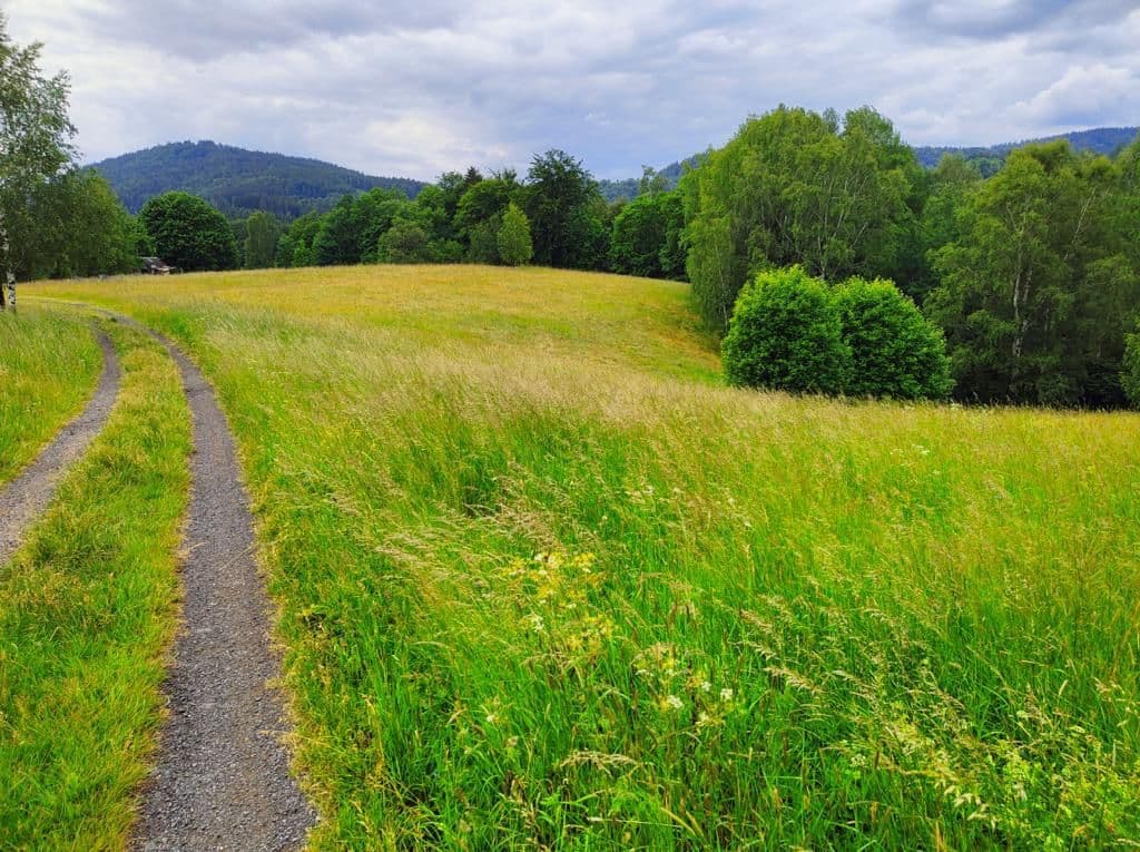 plot for sale, 2,377 m², Pustinská, Desná, Liberecký Region plot for sale, 2,377 m², Pustinská, Desná, Liberecký Region