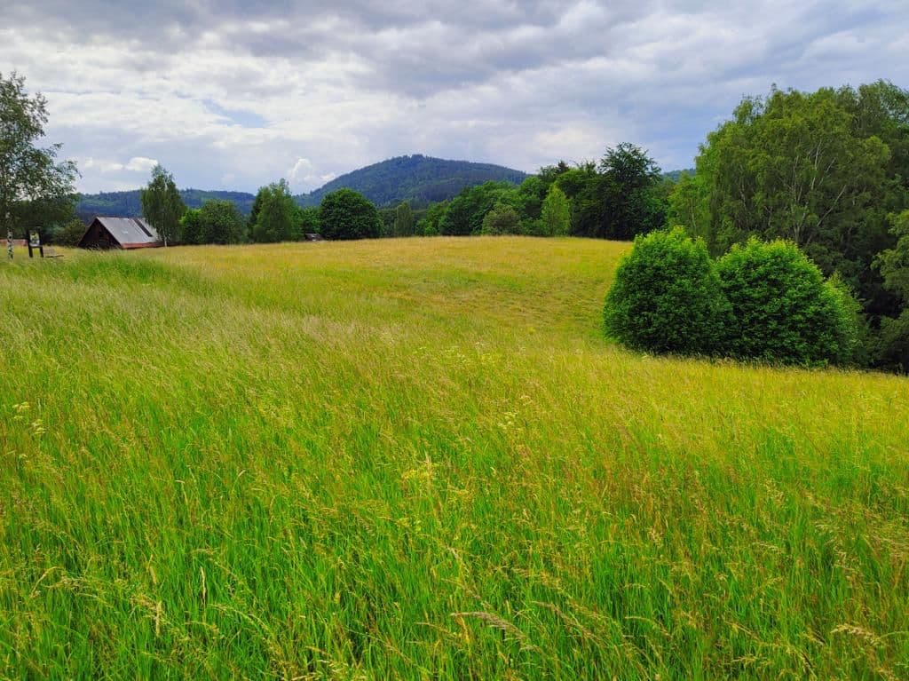 plot for sale, 2,377 m², Pustinská, Desná, Liberecký Region plot for sale, 2,377 m², Pustinská, Desná, Liberecký Region