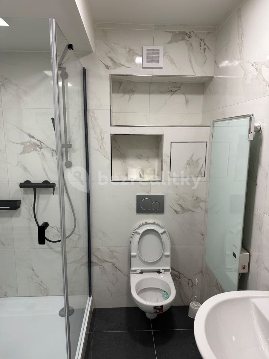 1 bedroom with open-plan kitchen flat to rent, 39 m², Michelská, Prague, Prague 1 bedroom with open-plan kitchen flat to rent, 39 m², Michelská, Prague, Prague