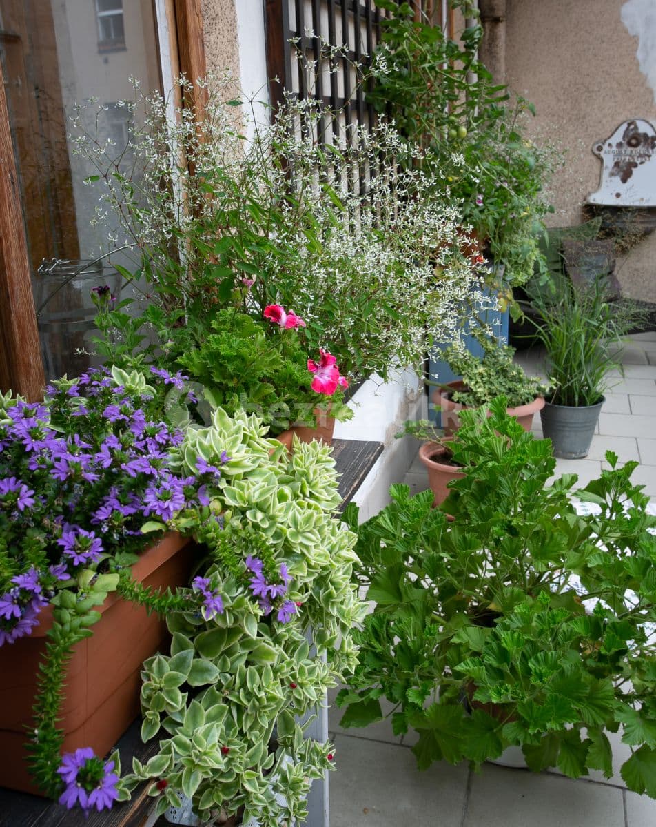 2 bedroom flat to rent, 71 m², Letohradská, Prague, Prague 2 bedroom flat to rent, 71 m², Letohradská, Prague, Prague