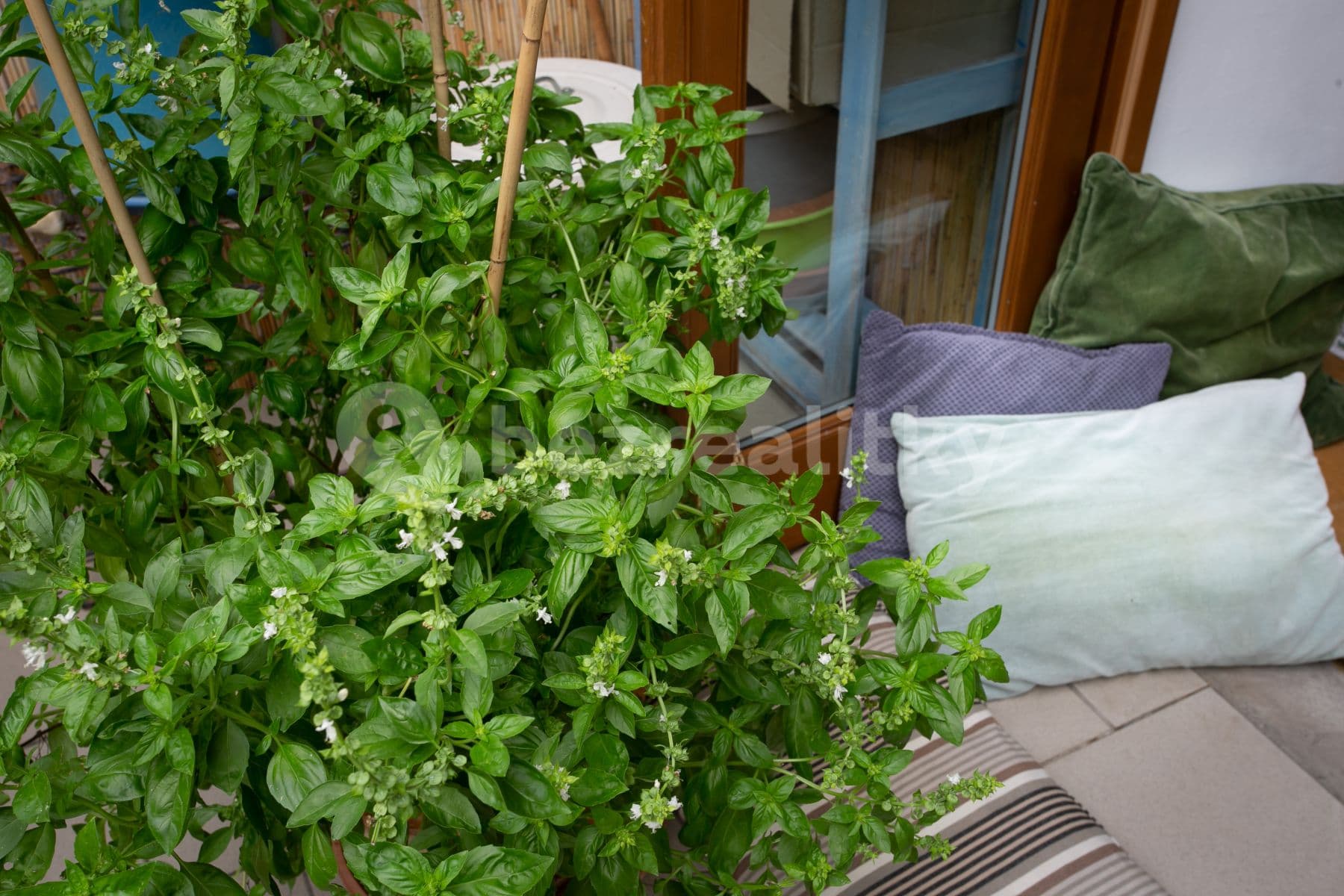 2 bedroom flat to rent, 71 m², Letohradská, Prague, Prague 2 bedroom flat to rent, 71 m², Letohradská, Prague, Prague