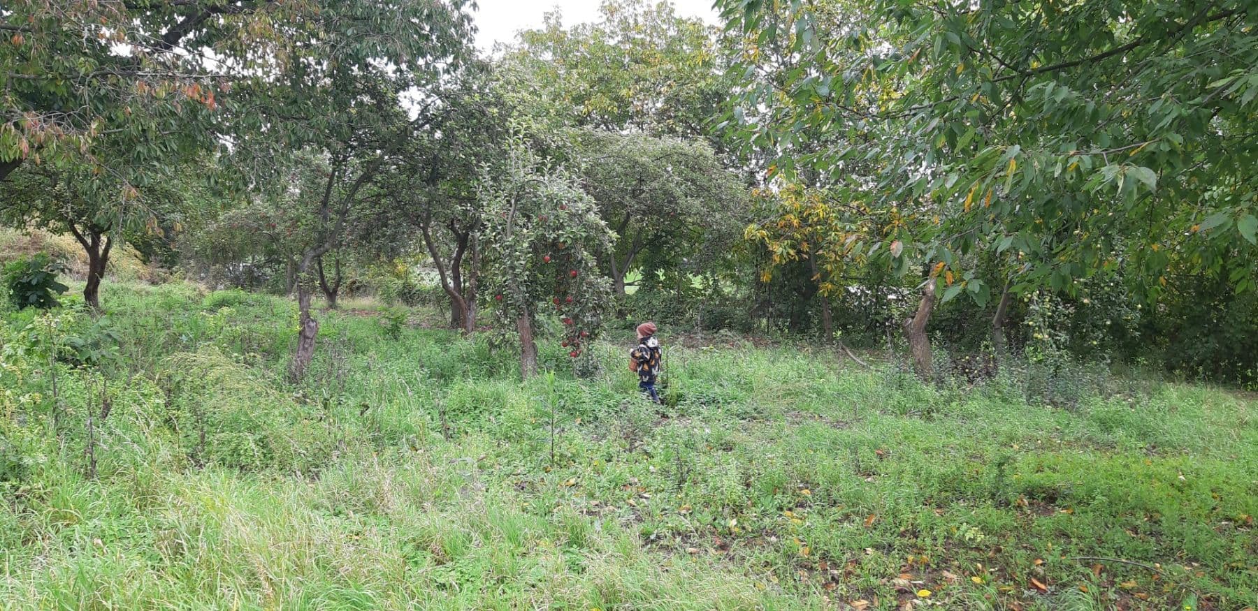 plot for sale, 3,201 m², 10142, Žižice, Středočeský Region plot for sale, 3,201 m², 10142, Žižice, Středočeský Region