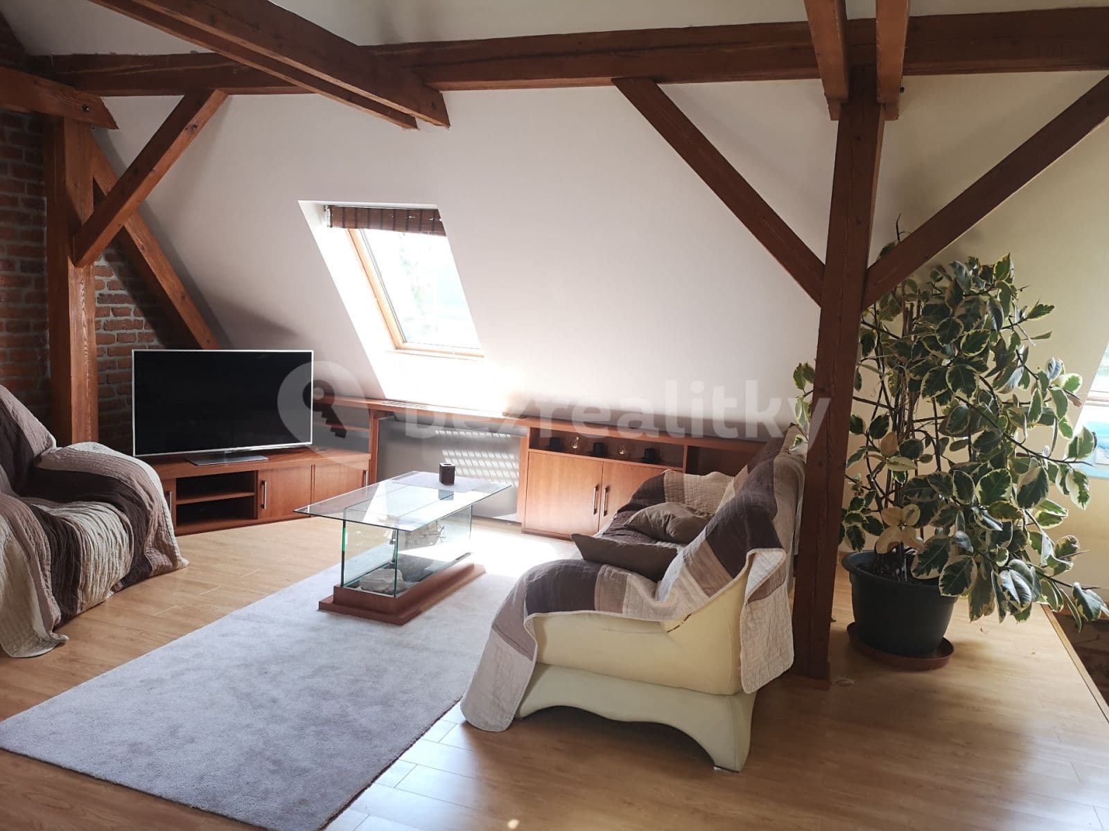 2 bedroom with open-plan kitchen flat to rent, 150 m², Samota, Olomouc, Olomoucký Region 2 bedroom with open-plan kitchen flat to rent, 150 m², Samota, Olomouc, Olomoucký Region
