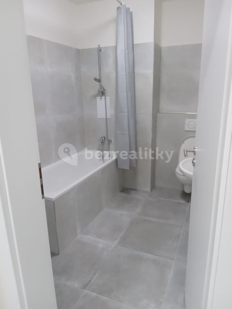 Studio flat to rent, 38 m², V Pitkovičkách, Prague, Prague Studio flat to rent, 38 m², V Pitkovičkách, Prague, Prague