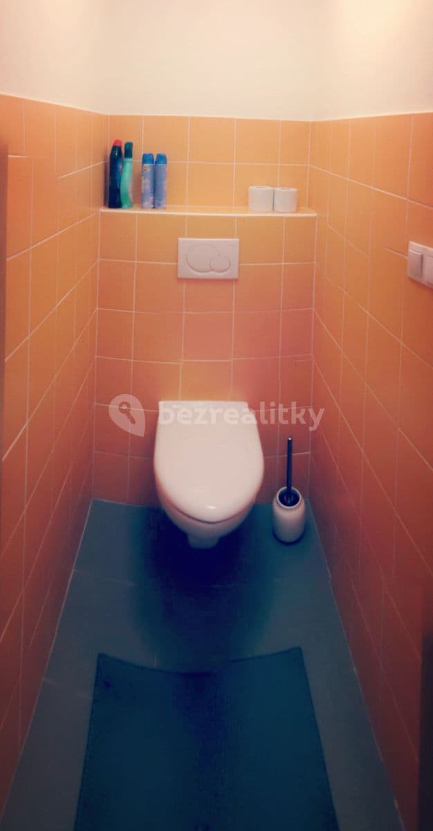 1 bedroom with open-plan kitchen flat to rent, 60 m², Na Slatince, Prague, Prague 1 bedroom with open-plan kitchen flat to rent, 60 m², Na Slatince, Prague, Prague