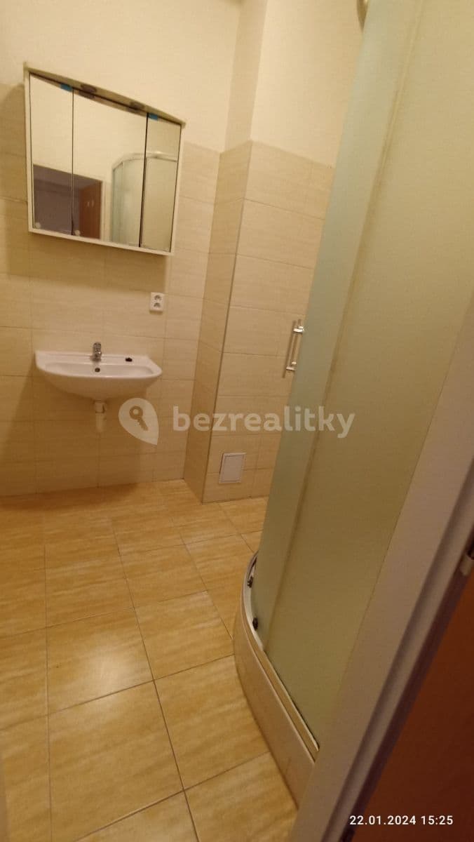 1 bedroom with open-plan kitchen flat to rent, 49 m², Pastrnkova, Brno, Jihomoravský Region 1 bedroom with open-plan kitchen flat to rent, 49 m², Pastrnkova, Brno, Jihomoravský Region