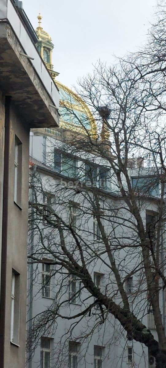 1 bedroom with open-plan kitchen flat to rent, 50 m², Krakovská, Prague, Prague 1 bedroom with open-plan kitchen flat to rent, 50 m², Krakovská, Prague, Prague