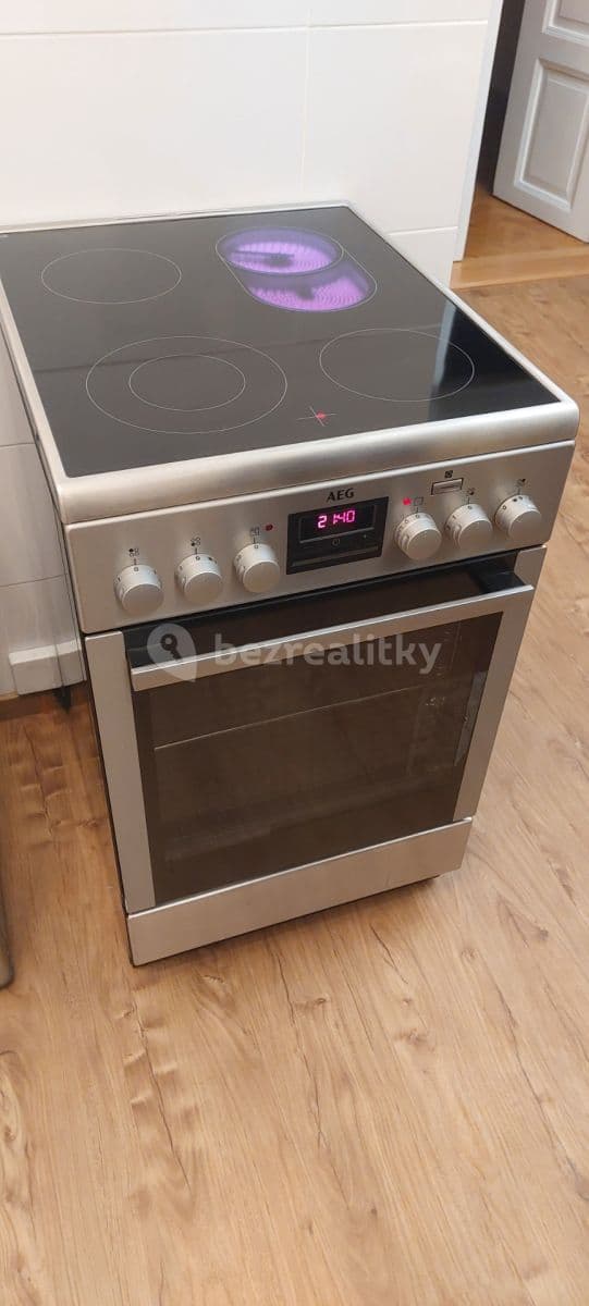 1 bedroom with open-plan kitchen flat to rent, 50 m², Krakovská, Prague, Prague 1 bedroom with open-plan kitchen flat to rent, 50 m², Krakovská, Prague, Prague