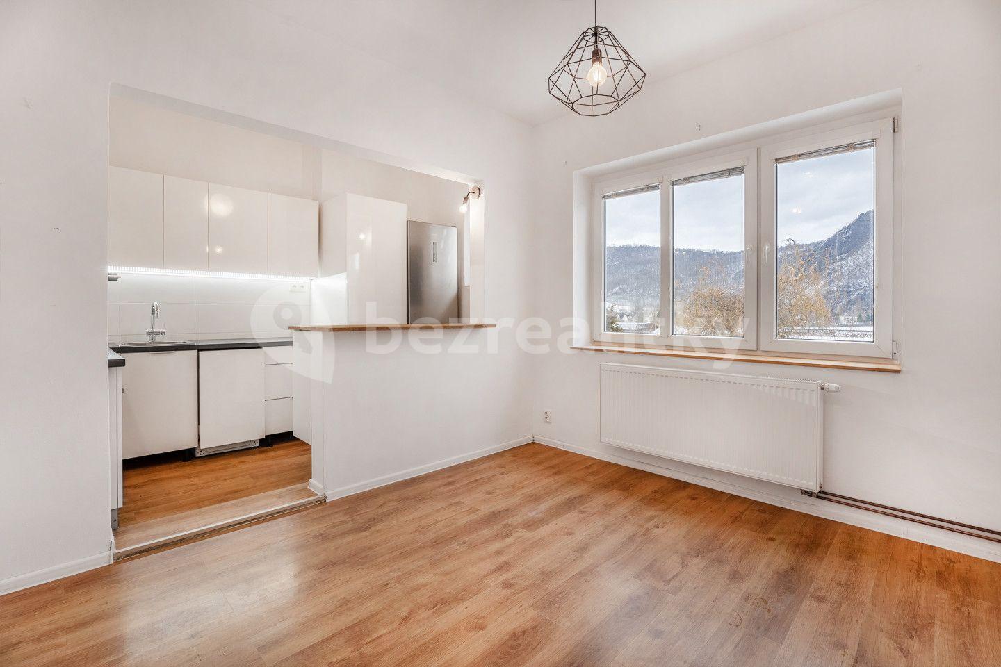 1 bedroom with open-plan kitchen flat for sale, 46 m², Velké Březno, Ústecký Region