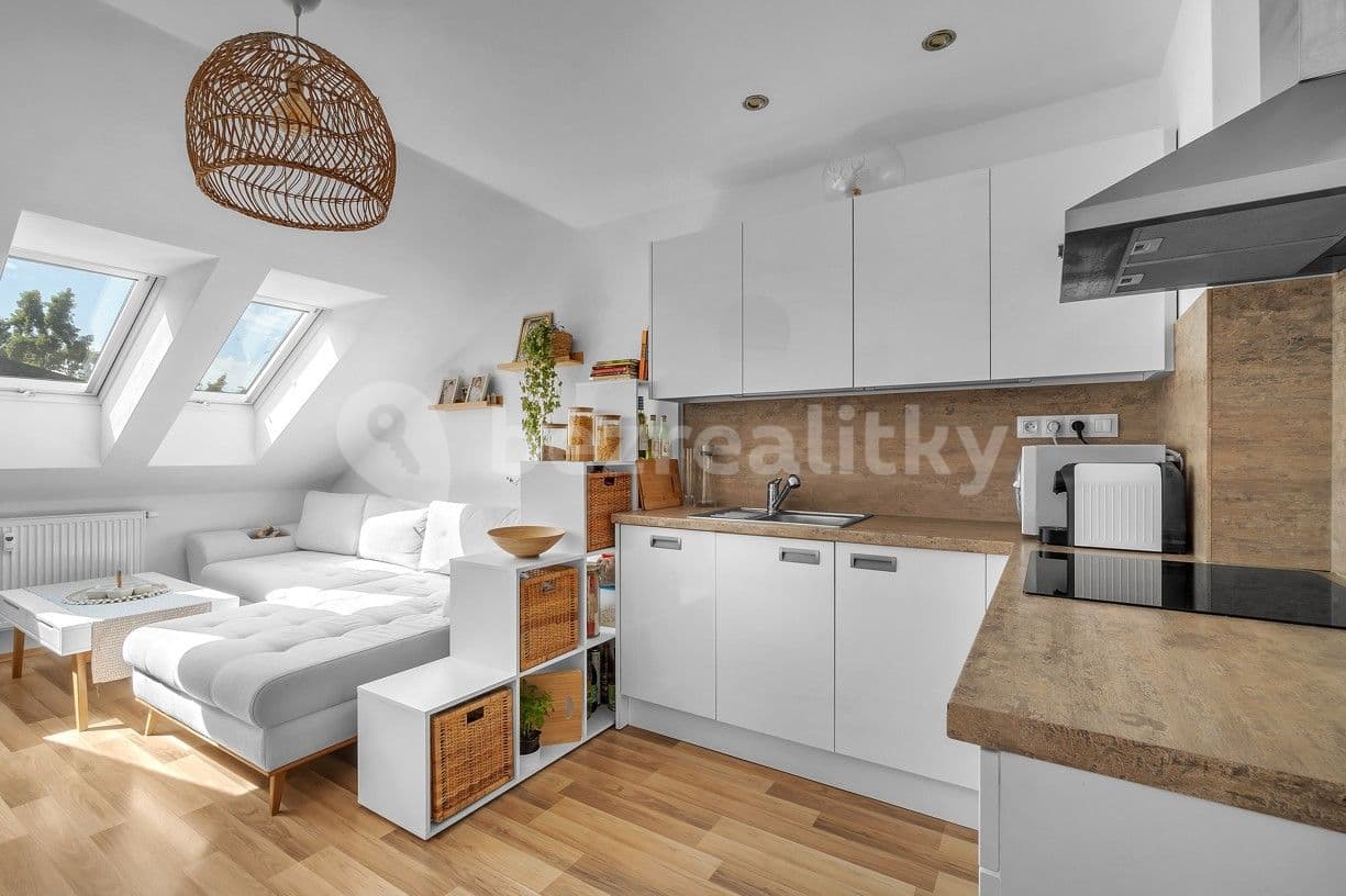 1 bedroom with open-plan kitchen flat to rent, 36 m², Pod Labuťkou, Prague, Prague 1 bedroom with open-plan kitchen flat to rent, 36 m², Pod Labuťkou, Prague, Prague