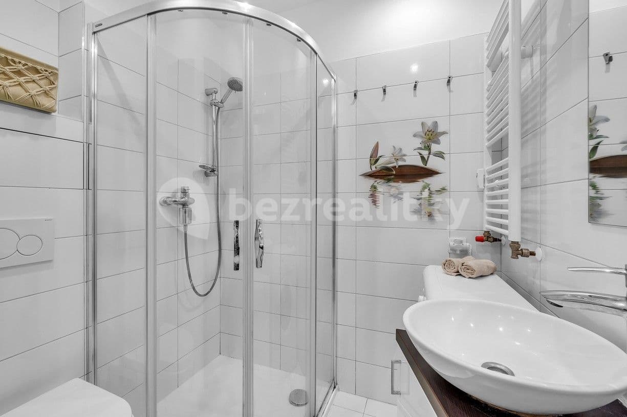 1 bedroom with open-plan kitchen flat to rent, 36 m², Pod Labuťkou, Prague, Prague 1 bedroom with open-plan kitchen flat to rent, 36 m², Pod Labuťkou, Prague, Prague