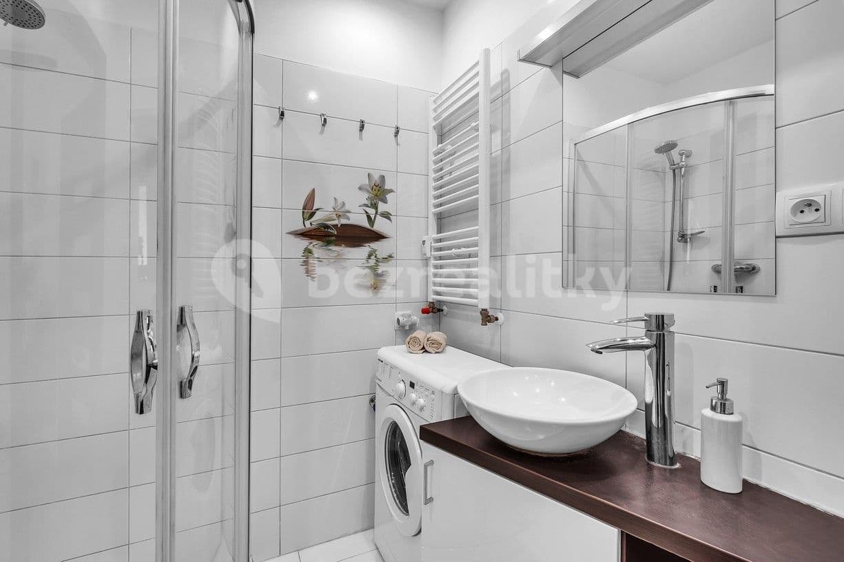 1 bedroom with open-plan kitchen flat to rent, 36 m², Pod Labuťkou, Prague, Prague 1 bedroom with open-plan kitchen flat to rent, 36 m², Pod Labuťkou, Prague, Prague