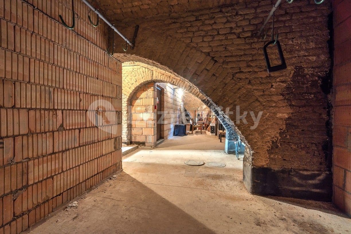 1 bedroom with open-plan kitchen flat to rent, 36 m², Pod Labuťkou, Prague, Prague 1 bedroom with open-plan kitchen flat to rent, 36 m², Pod Labuťkou, Prague, Prague