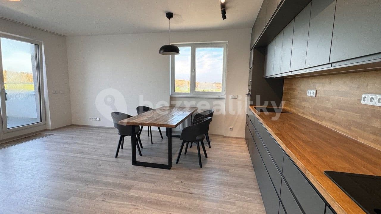 2 bedroom with open-plan kitchen flat to rent, 90 m², Oldřichovská, Prague, Prague 2 bedroom with open-plan kitchen flat to rent, 90 m², Oldřichovská, Prague, Prague