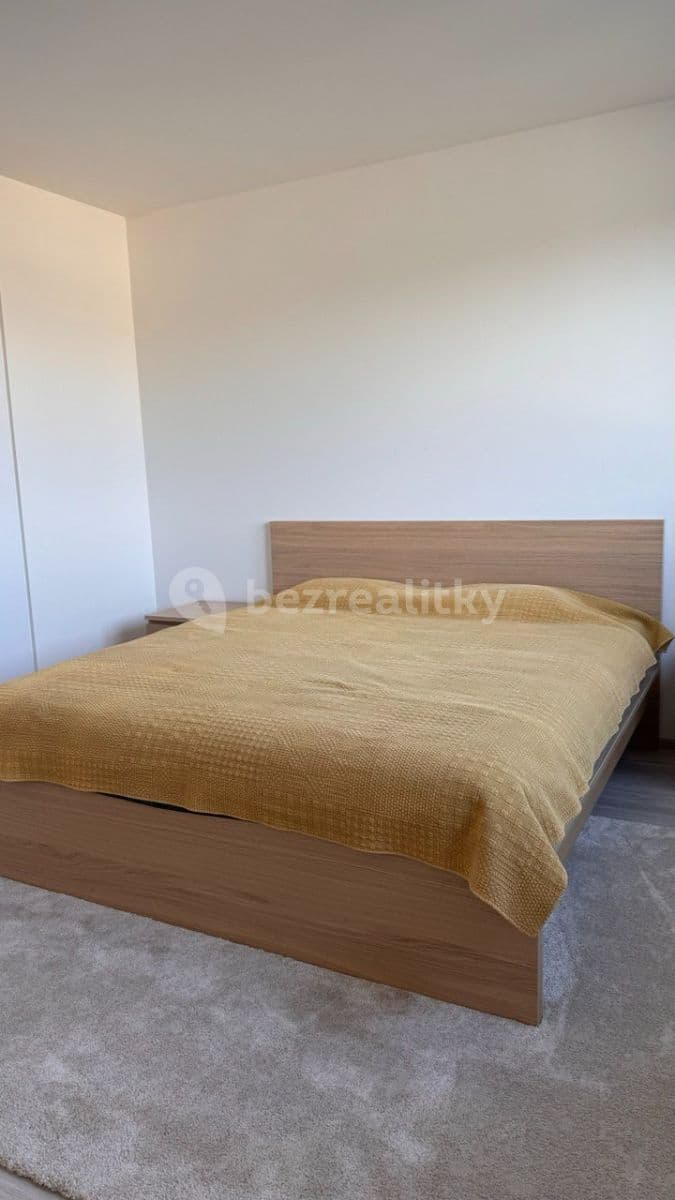 2 bedroom with open-plan kitchen flat to rent, 90 m², Oldřichovská, Prague, Prague 2 bedroom with open-plan kitchen flat to rent, 90 m², Oldřichovská, Prague, Prague