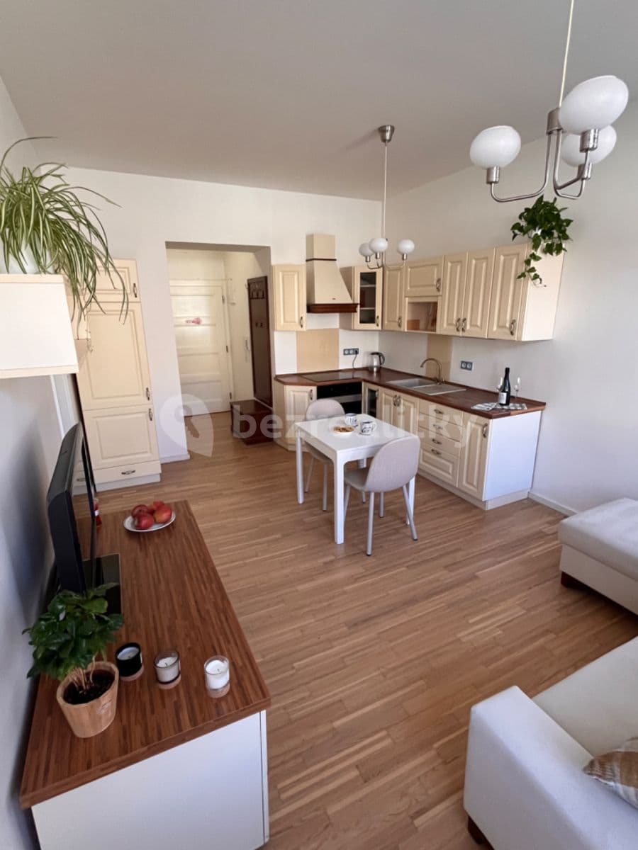 1 bedroom with open-plan kitchen flat to rent, 40 m², Bořivojova, Prague, Prague 1 bedroom with open-plan kitchen flat to rent, 40 m², Bořivojova, Prague, Prague