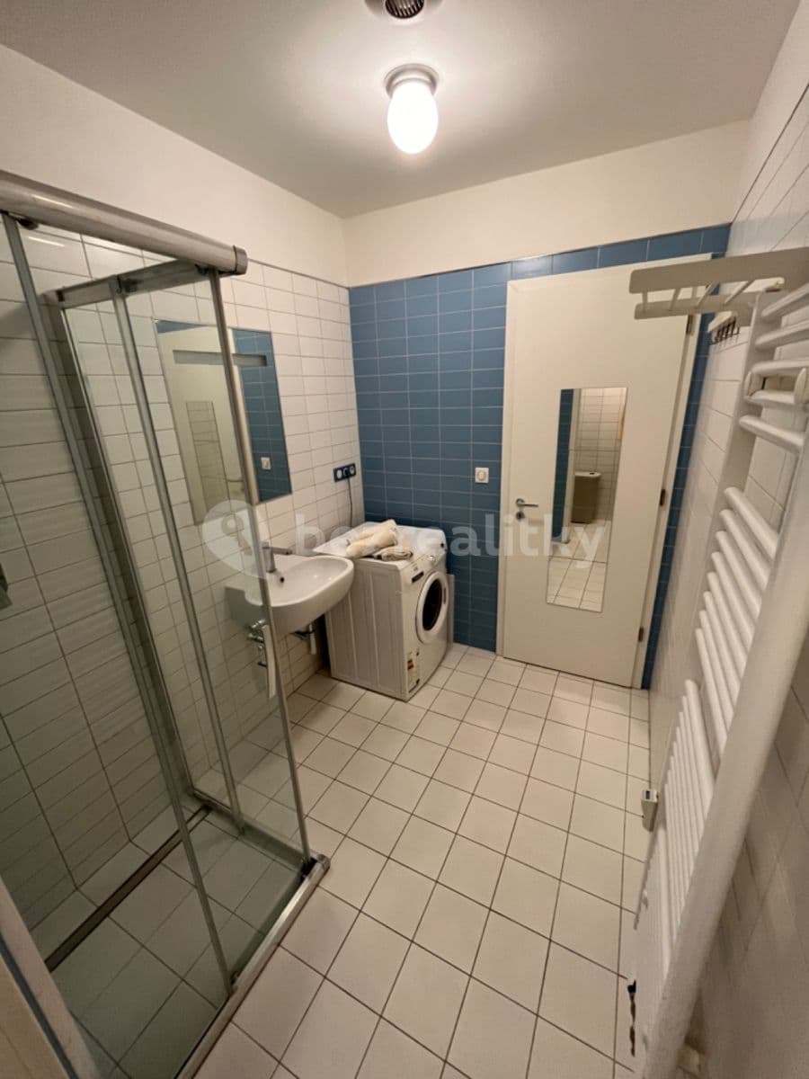 1 bedroom with open-plan kitchen flat to rent, 40 m², Bořivojova, Prague, Prague 1 bedroom with open-plan kitchen flat to rent, 40 m², Bořivojova, Prague, Prague