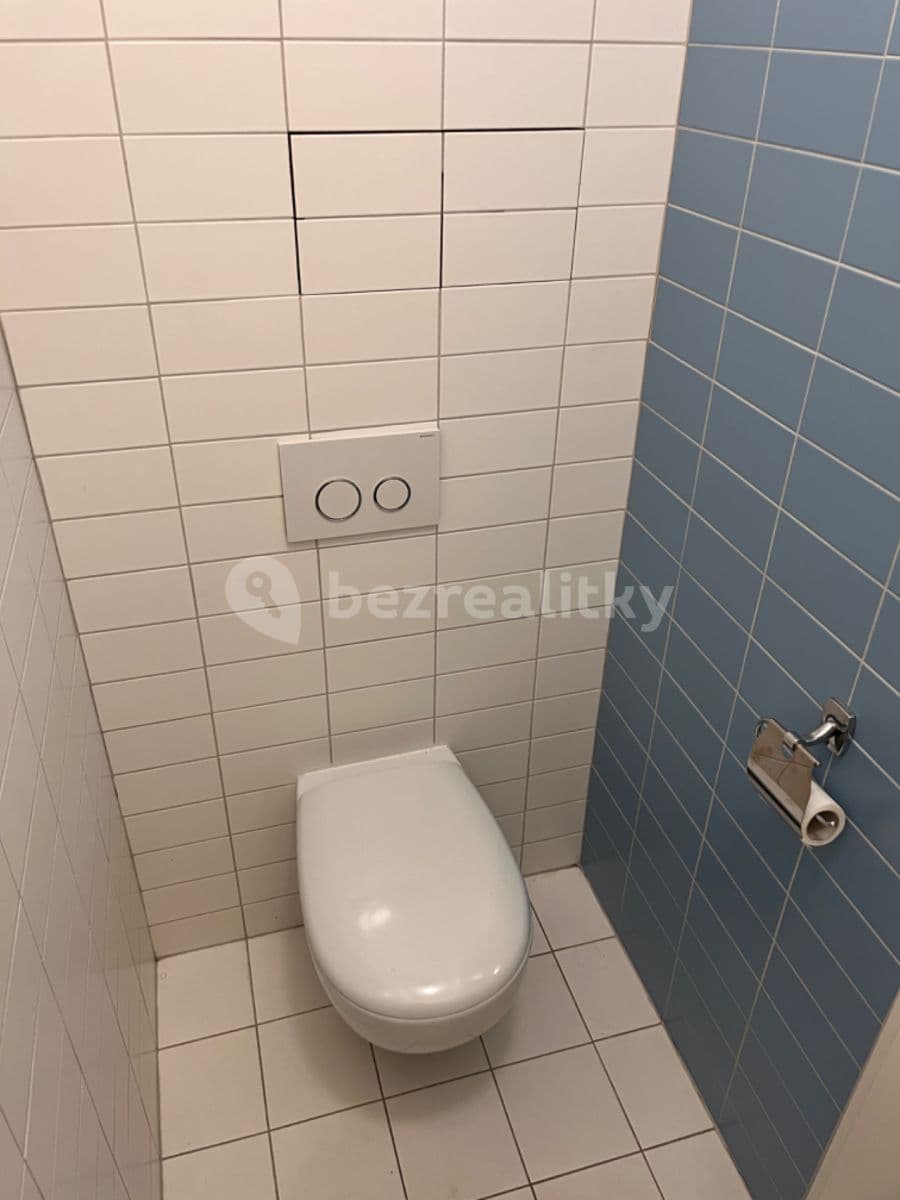 1 bedroom with open-plan kitchen flat to rent, 40 m², Bořivojova, Prague, Prague 1 bedroom with open-plan kitchen flat to rent, 40 m², Bořivojova, Prague, Prague
