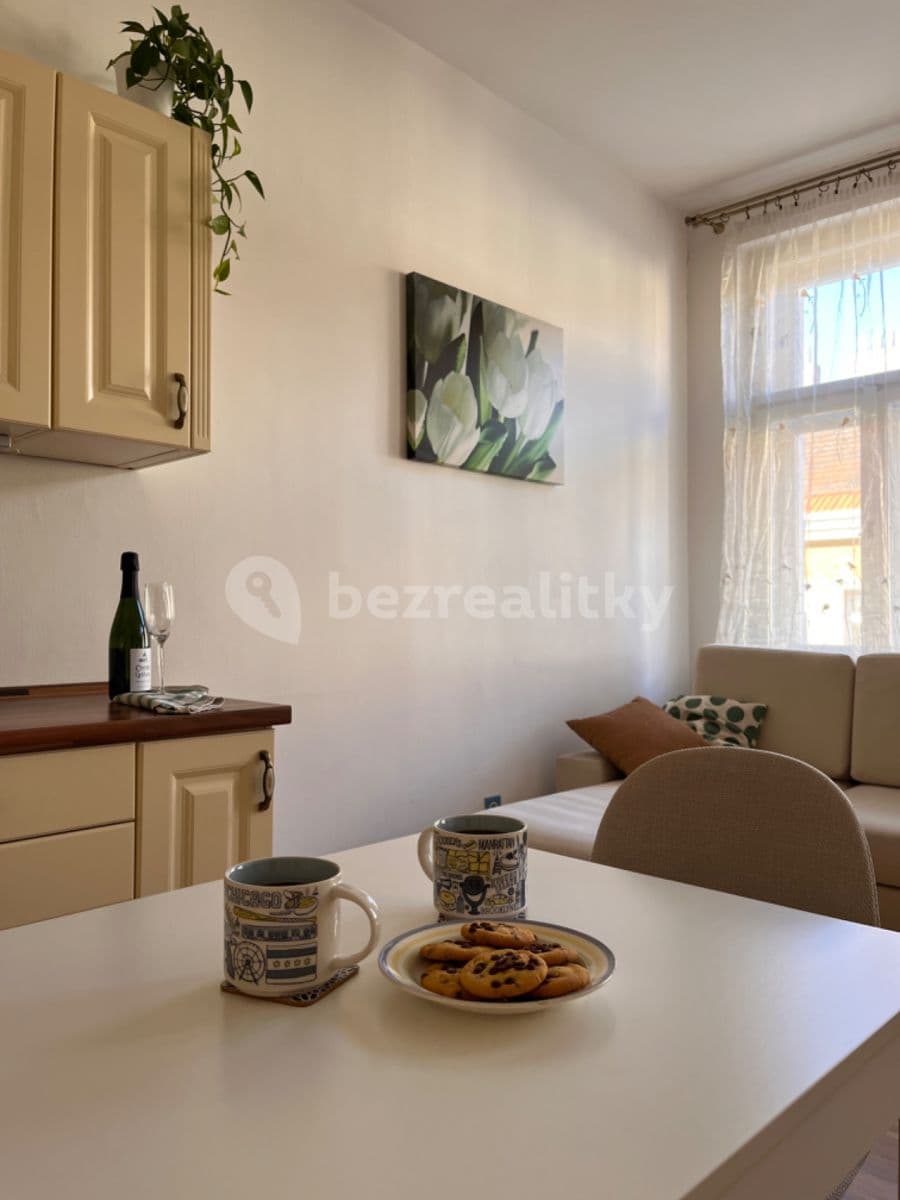 1 bedroom with open-plan kitchen flat to rent, 40 m², Bořivojova, Prague, Prague 1 bedroom with open-plan kitchen flat to rent, 40 m², Bořivojova, Prague, Prague