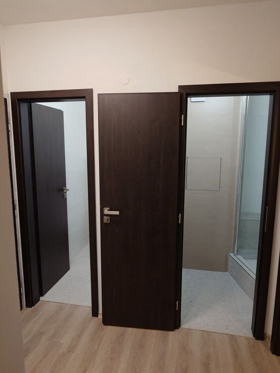 1 bedroom with open-plan kitchen flat to rent, 48 m², Jordana Jovkova, Prague, Prague 1 bedroom with open-plan kitchen flat to rent, 48 m², Jordana Jovkova, Prague, Prague