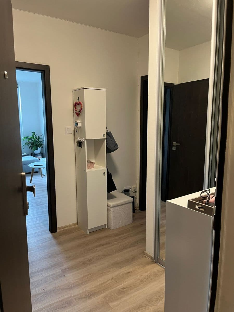 1 bedroom with open-plan kitchen flat to rent, 48 m², Jordana Jovkova, Prague, Prague 1 bedroom with open-plan kitchen flat to rent, 48 m², Jordana Jovkova, Prague, Prague