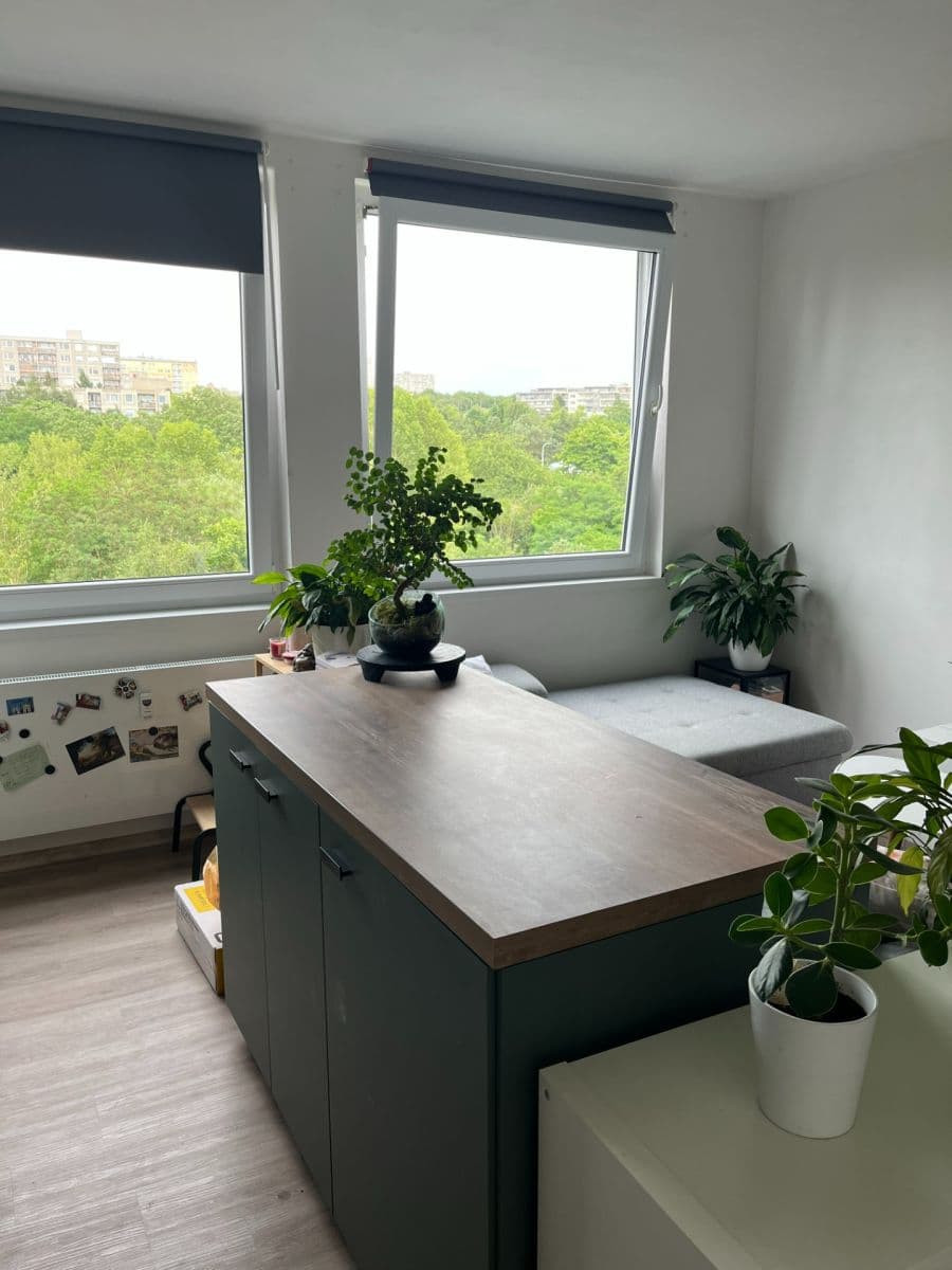 1 bedroom with open-plan kitchen flat to rent, 48 m², Jordana Jovkova, Prague, Prague 1 bedroom with open-plan kitchen flat to rent, 48 m², Jordana Jovkova, Prague, Prague