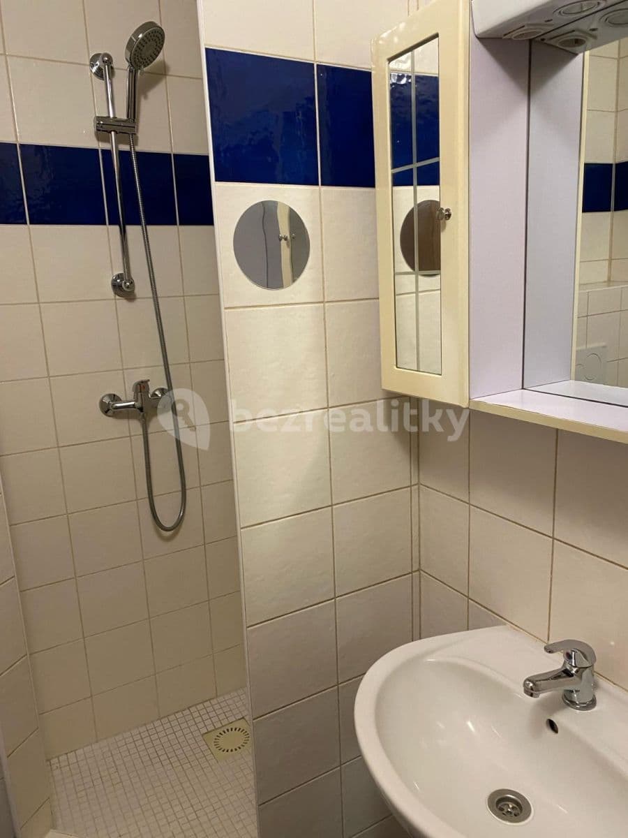 Studio flat to rent, 45 m², U Strže, Prague, Prague Studio flat to rent, 45 m², U Strže, Prague, Prague