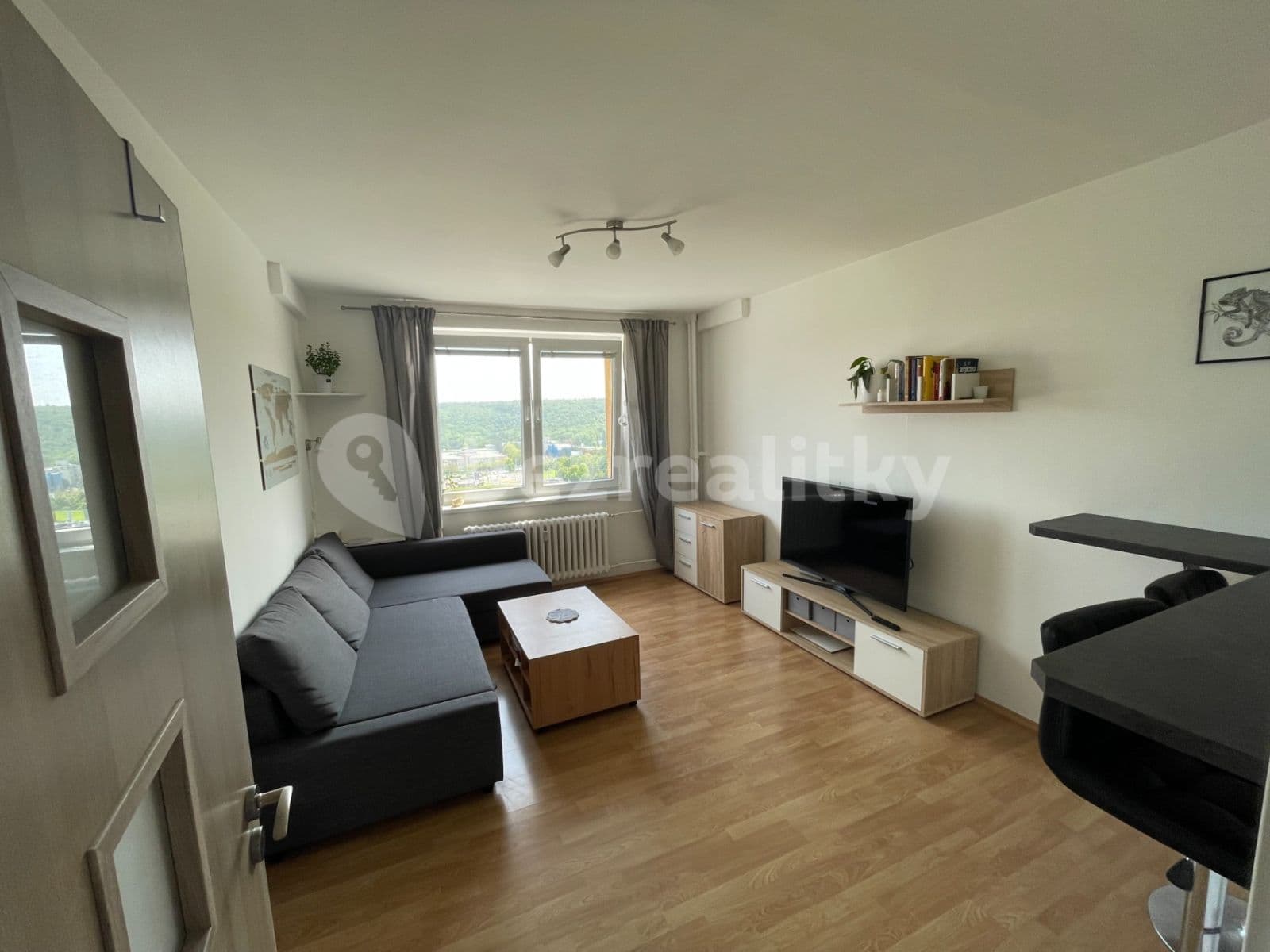 1 bedroom with open-plan kitchen flat to rent, 40 m², Štúrova, Prague, Prague 1 bedroom with open-plan kitchen flat to rent, 40 m², Štúrova, Prague, Prague