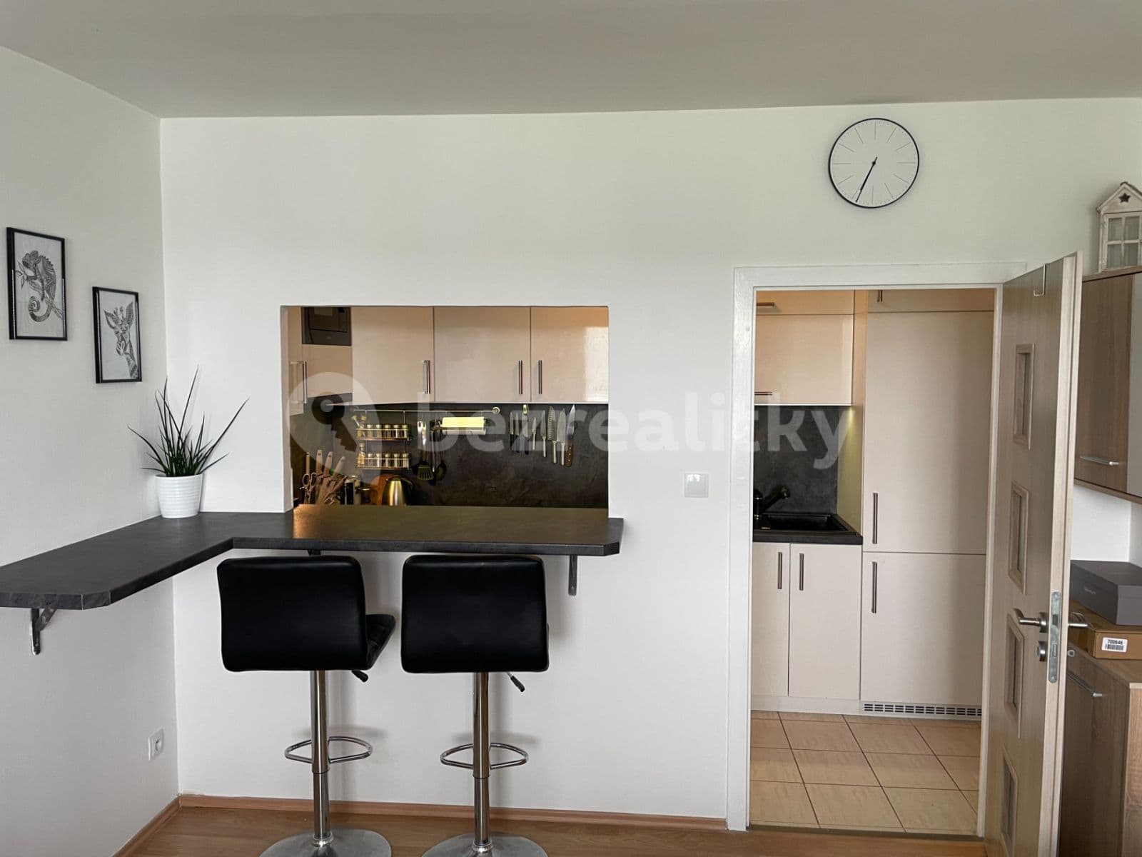 1 bedroom with open-plan kitchen flat to rent, 40 m², Štúrova, Prague, Prague 1 bedroom with open-plan kitchen flat to rent, 40 m², Štúrova, Prague, Prague