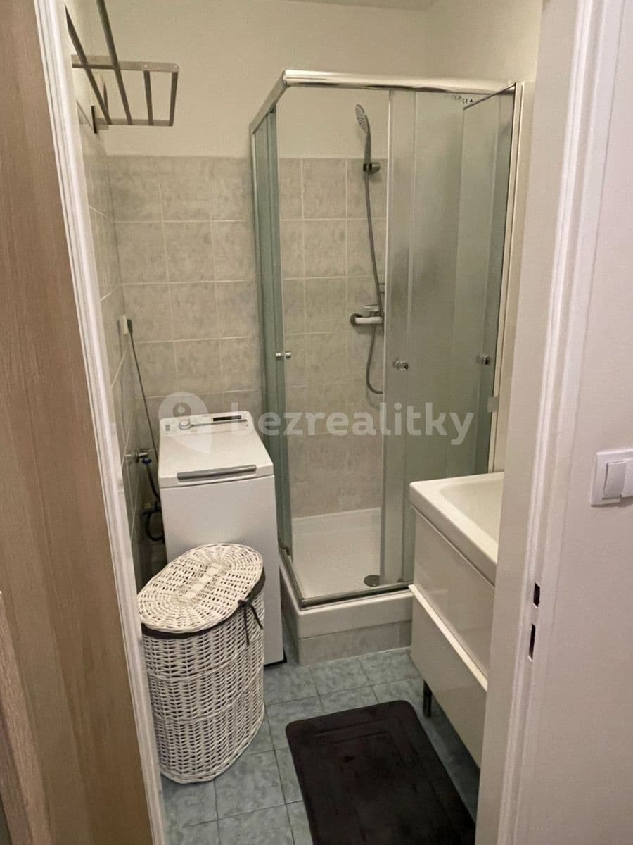 1 bedroom with open-plan kitchen flat to rent, 40 m², Štúrova, Prague, Prague 1 bedroom with open-plan kitchen flat to rent, 40 m², Štúrova, Prague, Prague