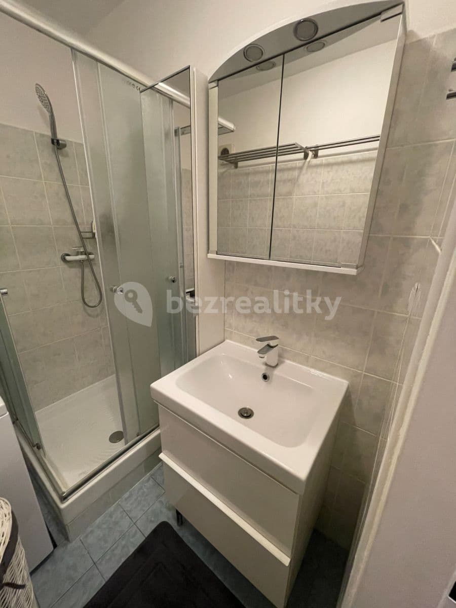 1 bedroom with open-plan kitchen flat to rent, 40 m², Štúrova, Prague, Prague 1 bedroom with open-plan kitchen flat to rent, 40 m², Štúrova, Prague, Prague