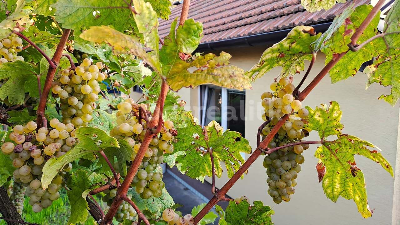 recreational property to rent, 0 m², Hlohovec, Jihomoravský Region recreational property to rent, 0 m², Hlohovec, Jihomoravský Region